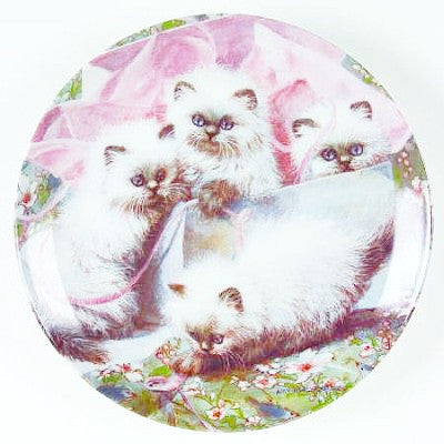 Amy Brackenbury's Cat Tales Collection 1988