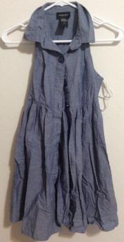 Alyn Paige New York Dress